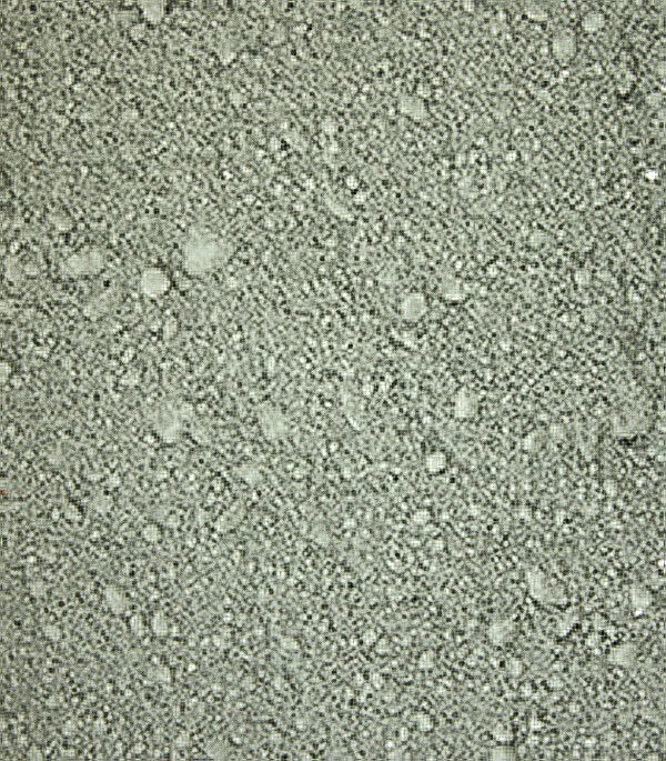 Глина кембрийская 40 кг