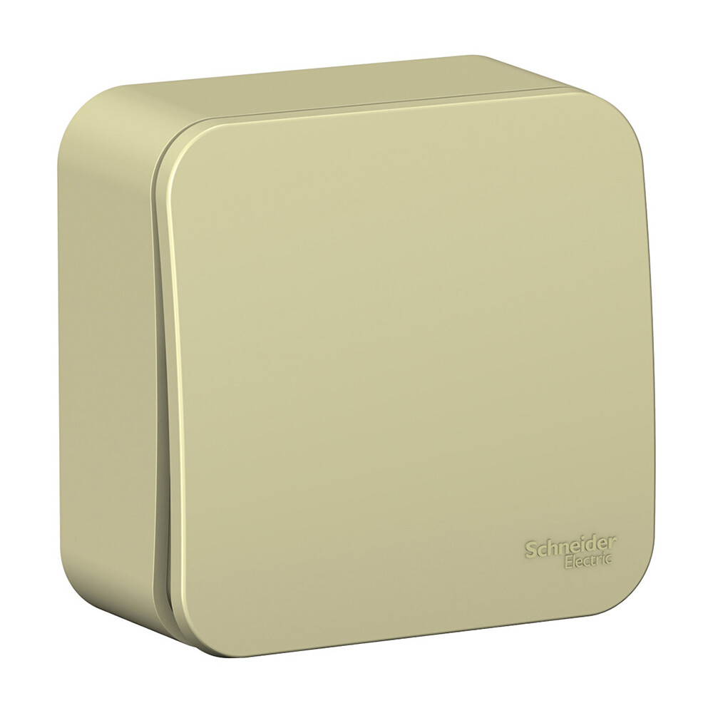 Выключатель Systeme Electric Blanca одноклавишный накладной бежевый (BLNVA101017)