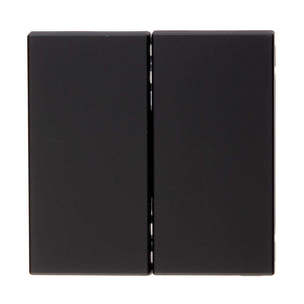 Выключатель Systeme Electric ArtGallery двухклавишный встраиваемый карбон (GAL001051)