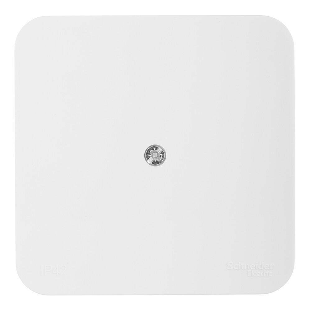 Коробка распределительная Systeme Electric Blanca накладная молочная (BLNRK000012)