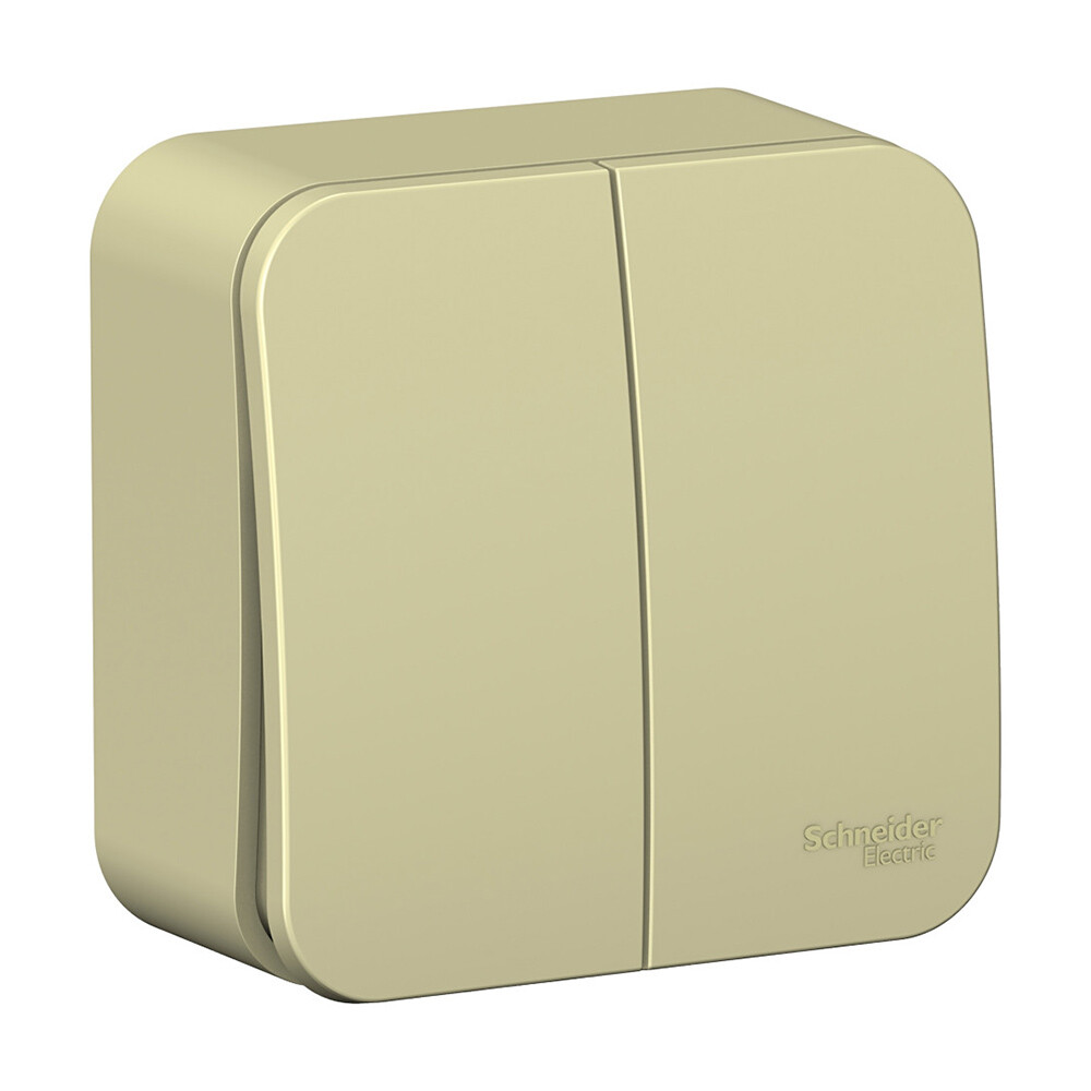 Выключатель Systeme Electric Blanca двухклавишный накладной бежевый (BLNVA105017)