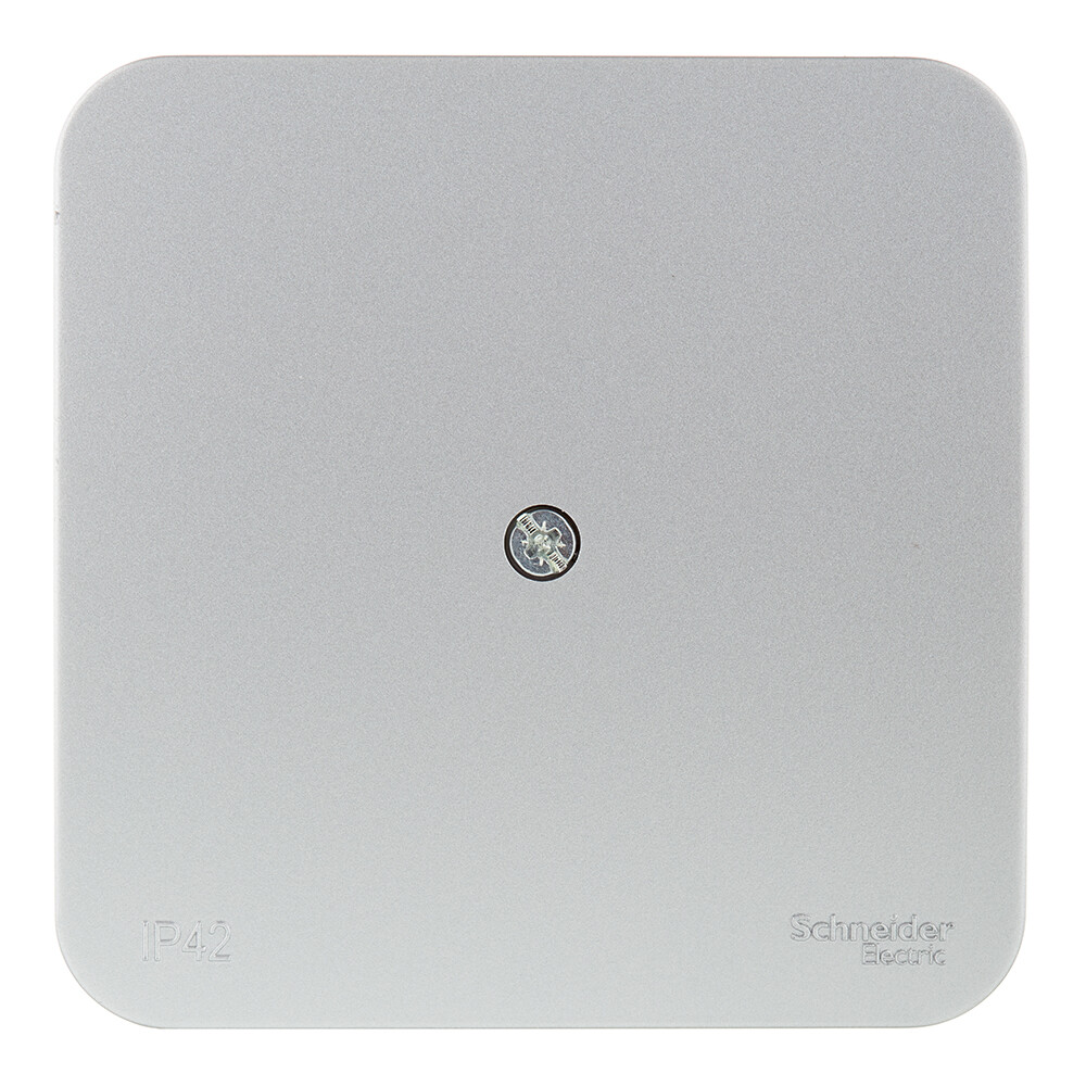 Коробка распределительная Systeme Electric Blanca накладная алюминий (BLNRK000013)