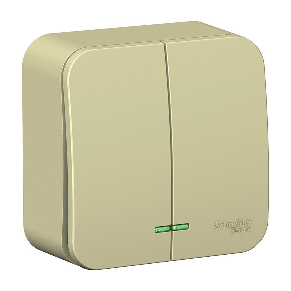 Выключатель Systeme Electric Blanca двухклавишный накладной бежевый с подсветкой (BLNVA105117)