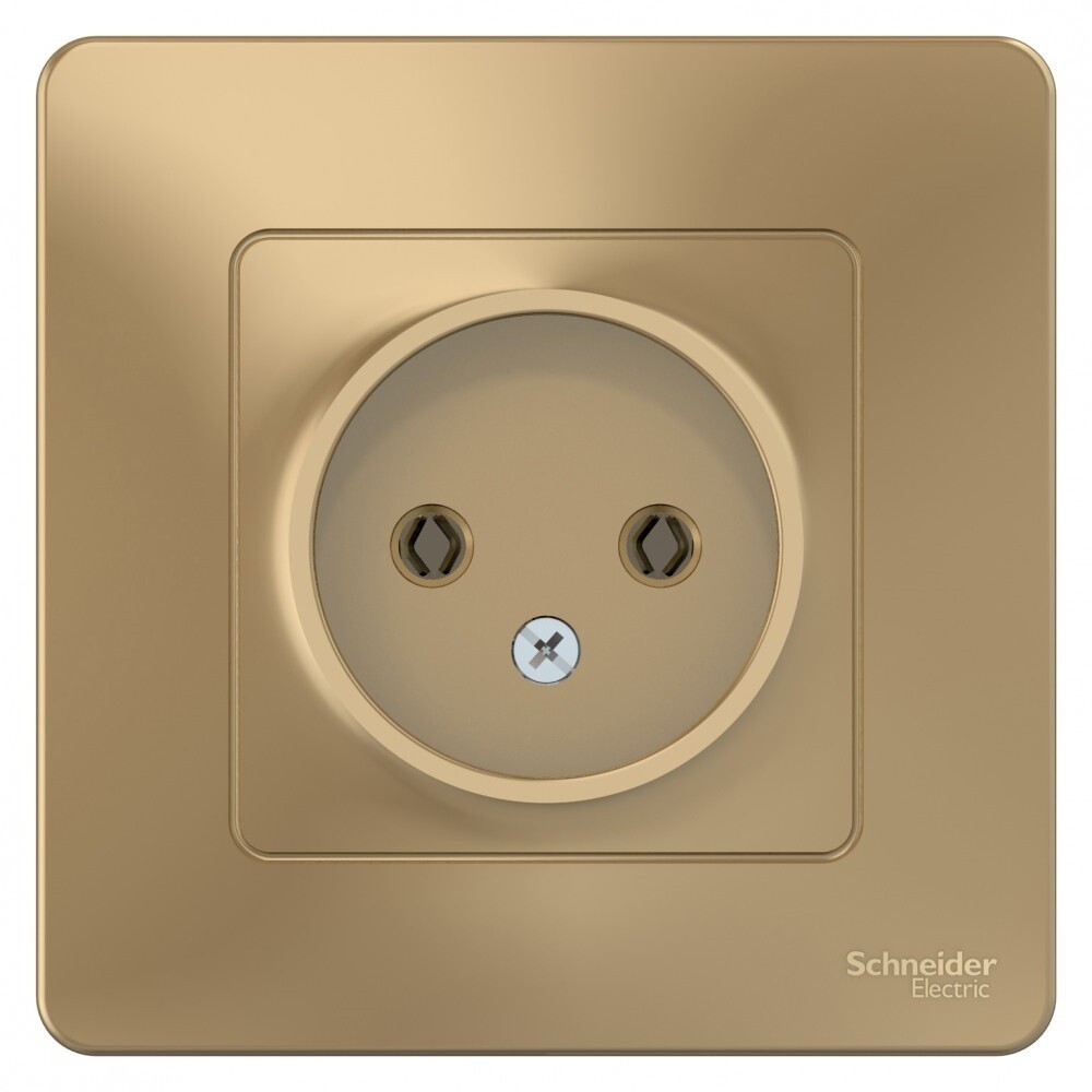 Розетка Systeme Electric Blanca встраиваемая титан (BLNRS000014)