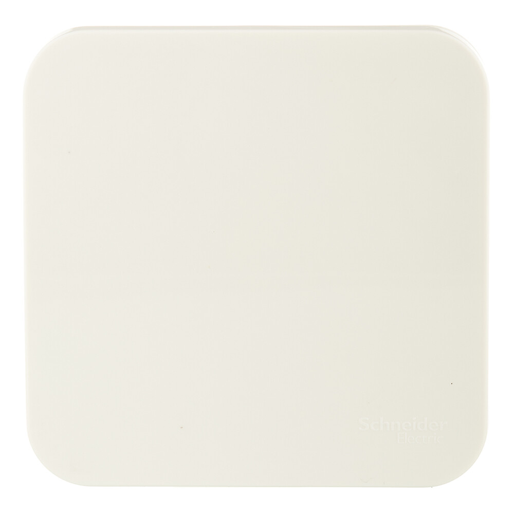 Выключатель Systeme Electric Blanca одноклавишный накладной бежевый с самовозвратом (BLNCA101017)