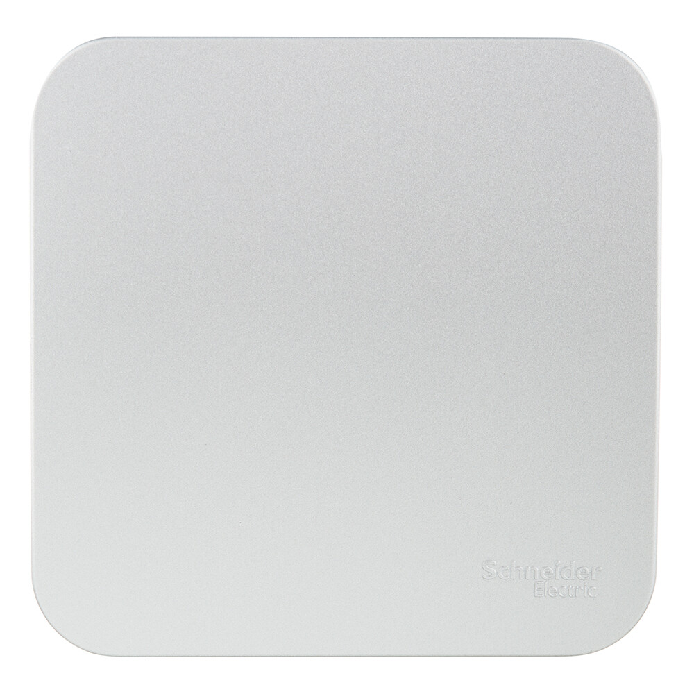 Выключатель Systeme Electric Blanca одноклавишный накладной алюминий с самовозвратом (BLNCA101013)