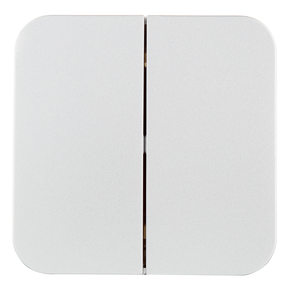 Выключатель Systeme Electric Blanca двухклавишный накладной алюминий (BLNVA105013)