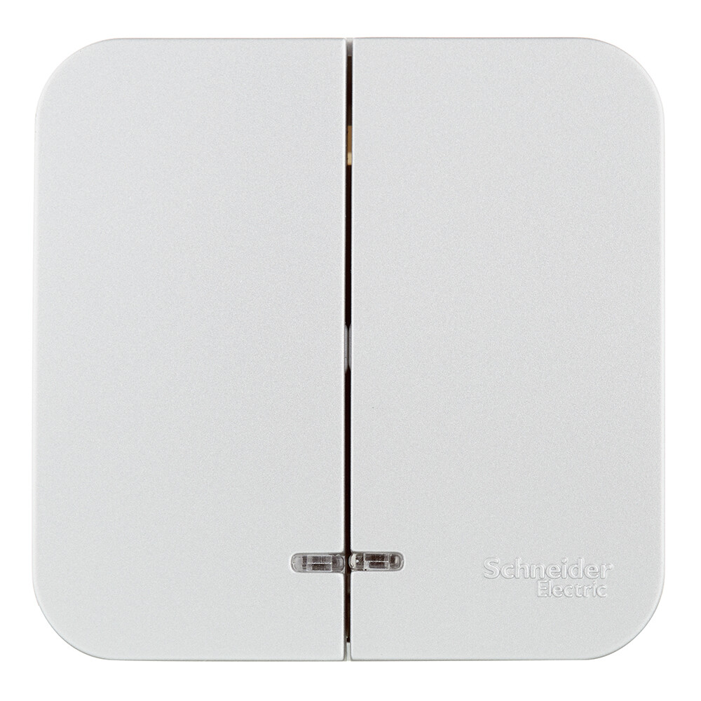 Выключатель Systeme Electric Blanca двухклавишный накладной алюминий с подсветкой (BLNVA105113)