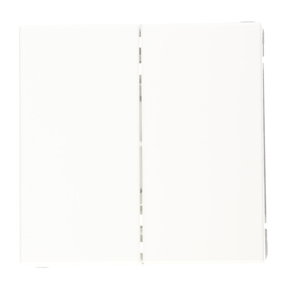 Переключатель Systeme Electric ArtGallery двухклавишный встраиваемый белый (GAL000165)