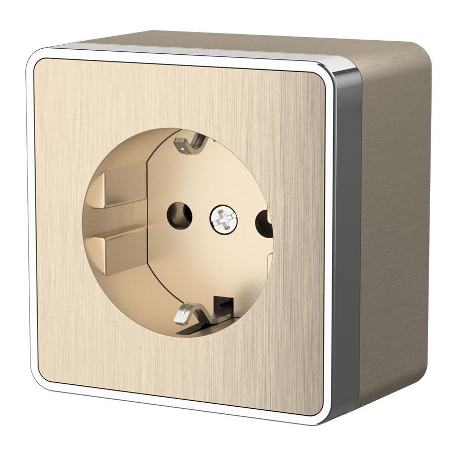 Розетка Werkel Gallant накладная шампань (a051038)