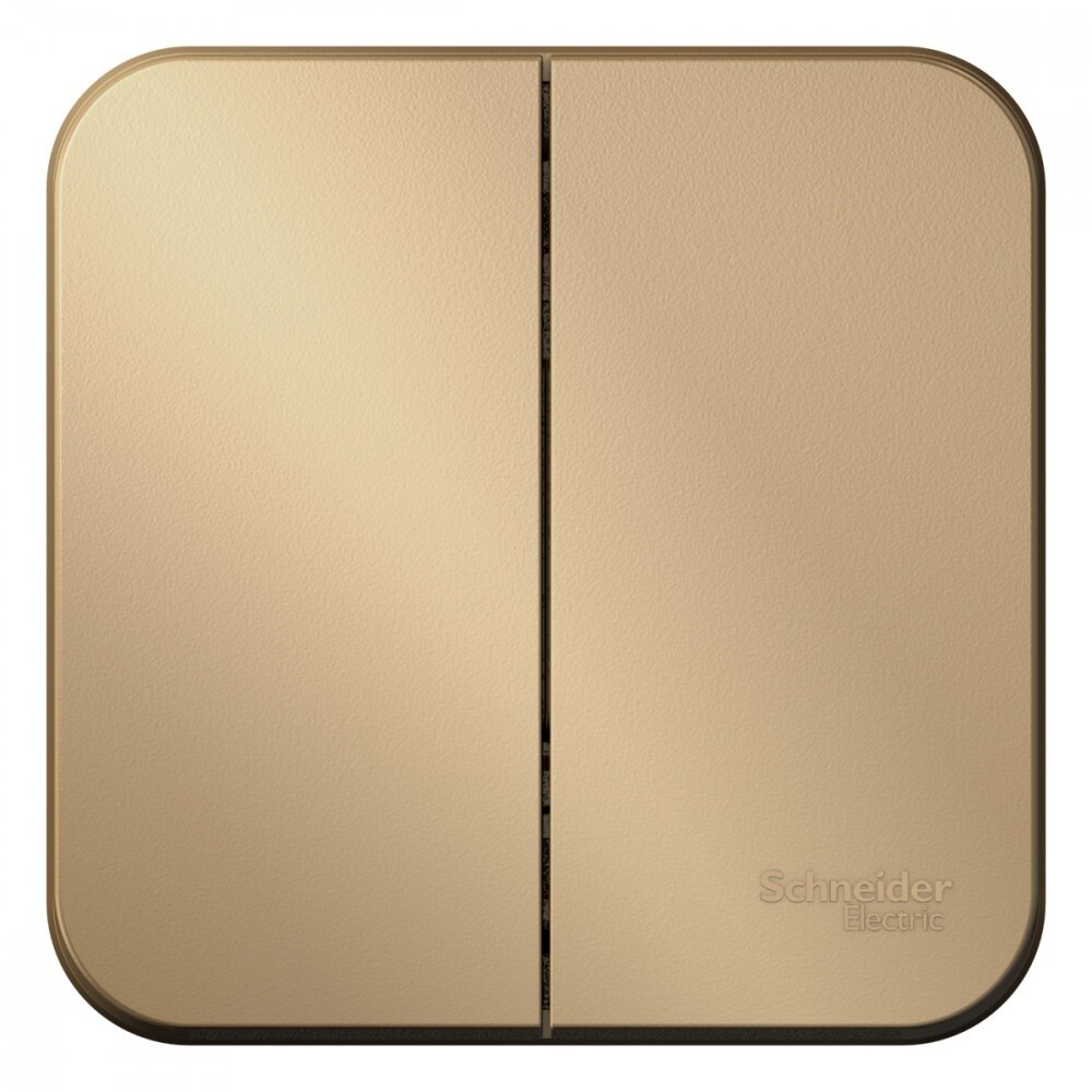 Выключатель Systeme Electric Blanca двухклавишный накладной титан (BLNVA105014)