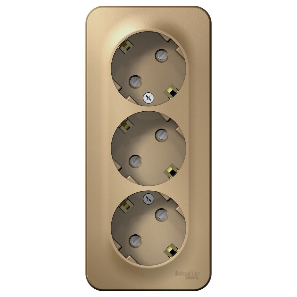 Розетка Systeme Electric Blanca накладная титан со шторками (BLNRA011314)