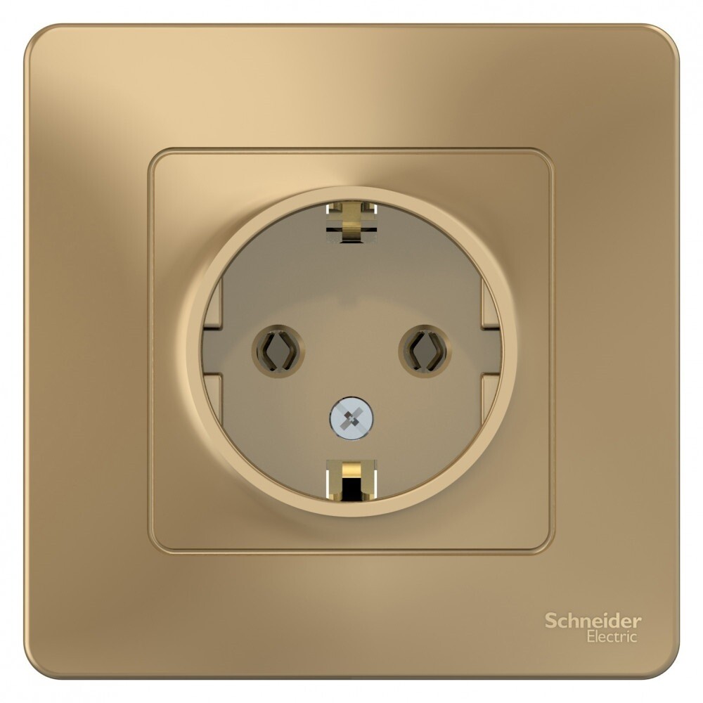 Розетка Systeme Electric Blanca встраиваемая титан (BLNRS001014)