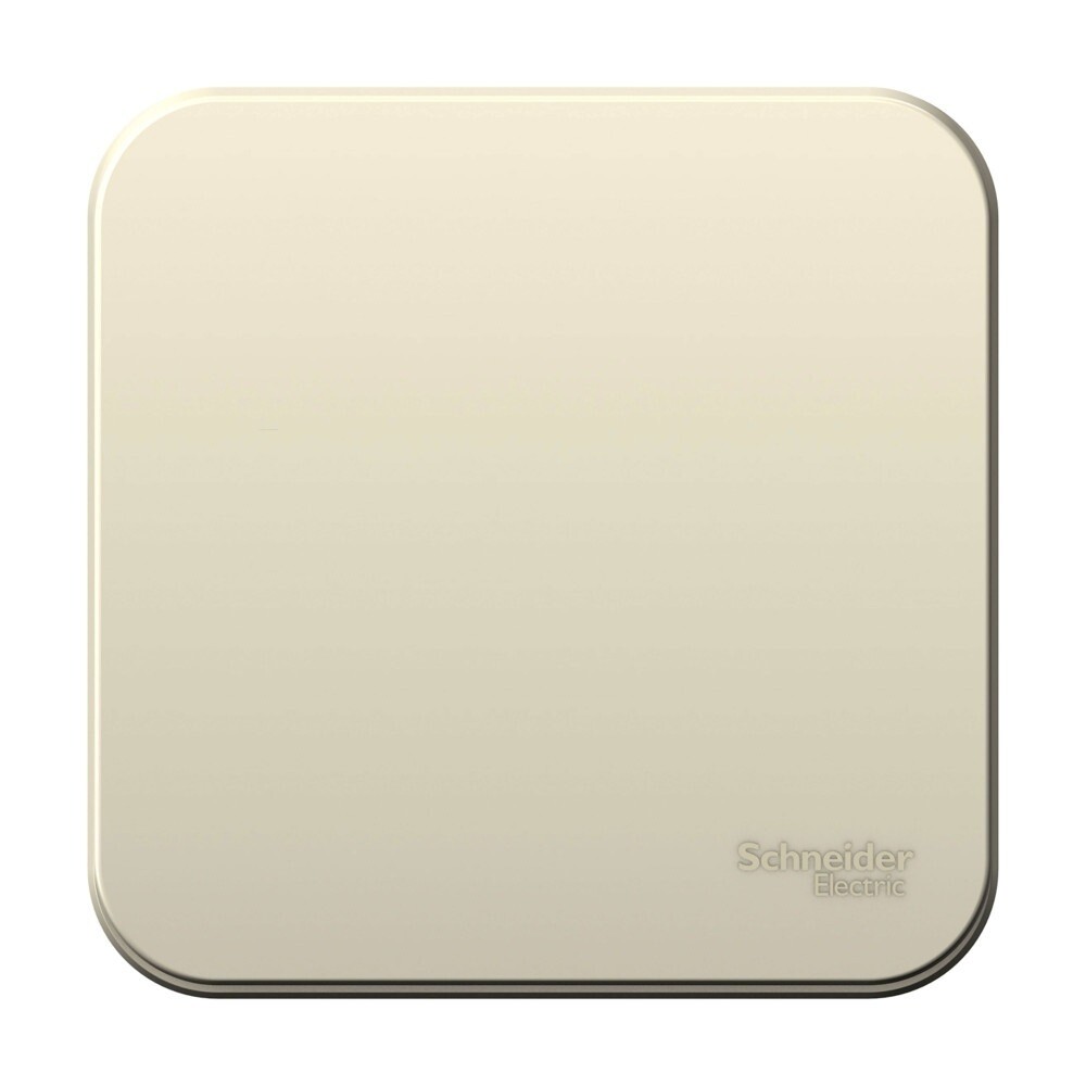 Выключатель Systeme Electric Blanca одноклавишный накладной молочный (BLNVA101012)